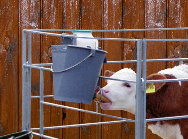 Calf Feeding Bucket - Image 4