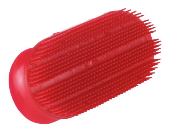 Needle curry comb - 图片 2