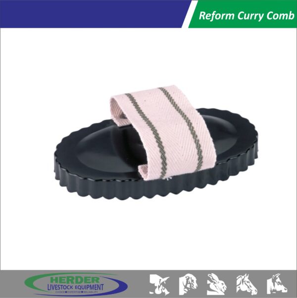 Reform Curry Comb