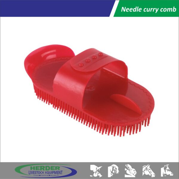 Needle curry comb