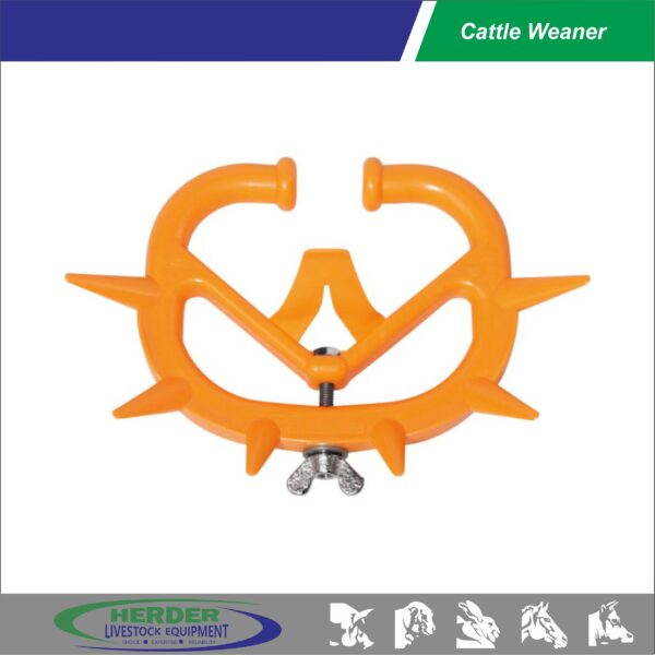 Cattle Weaner