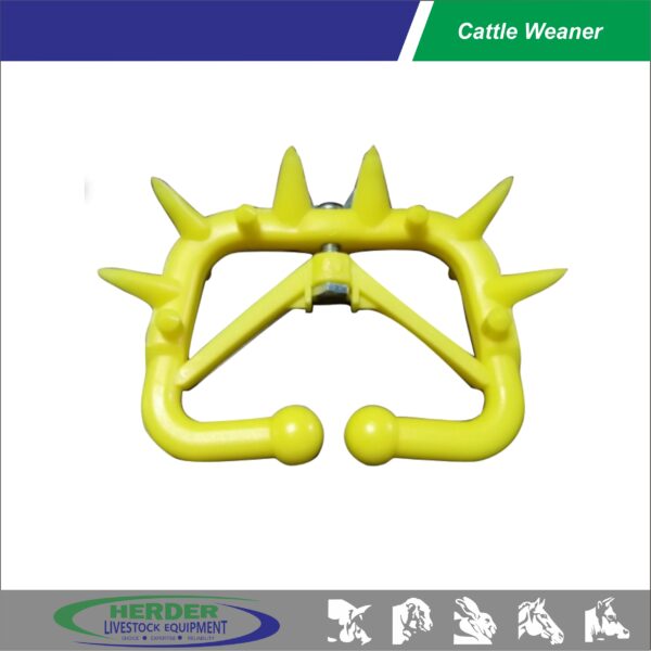 Cattle Weaner