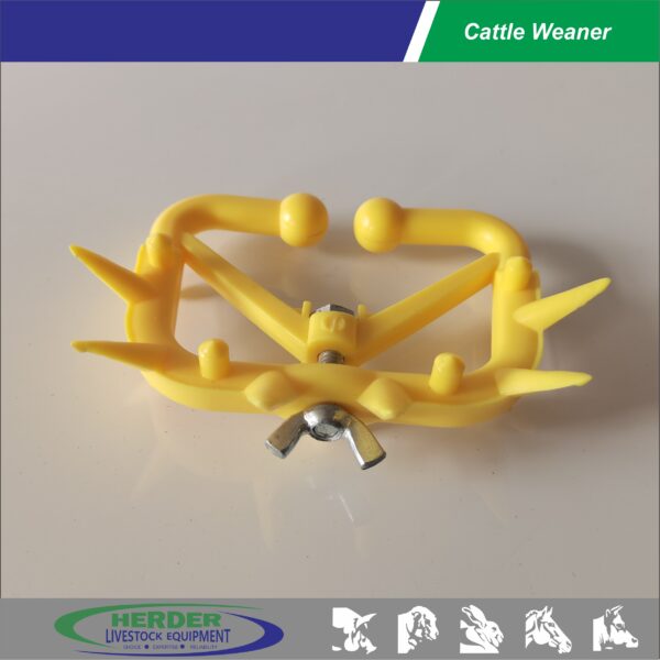 Cattle Weaner - 图片 4