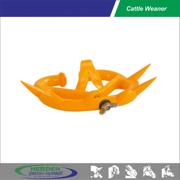 Cattle Weaner - 图片 2