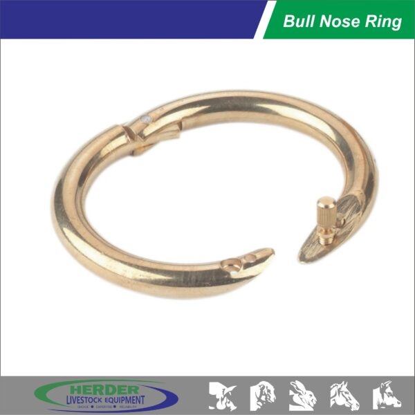 Bull Nose Ring Top Quality - 图片 3