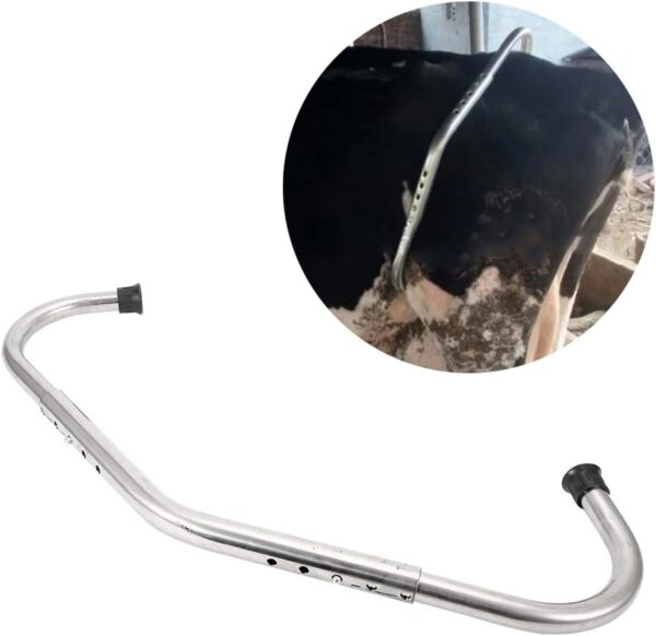 Cow Immobiliser - 图片 6