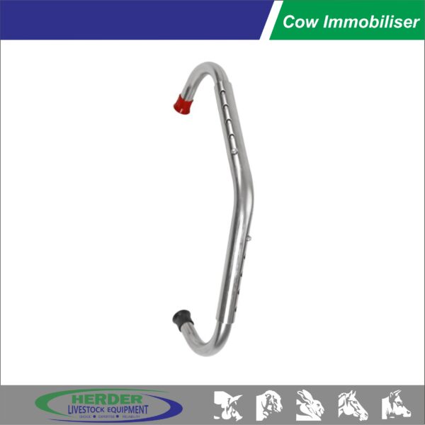 Cow Immobiliser - 图片 2