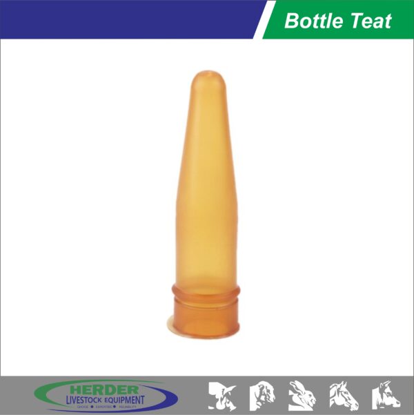 Bottle Teat