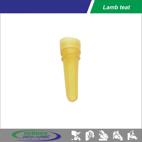 Lamb teat