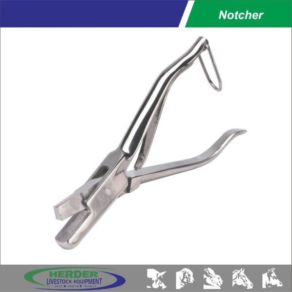 Notcher - 图片 3