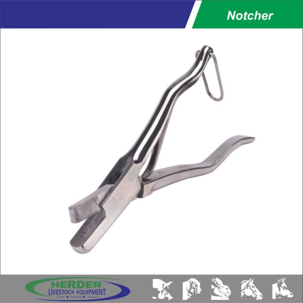 Notcher - 图片 4