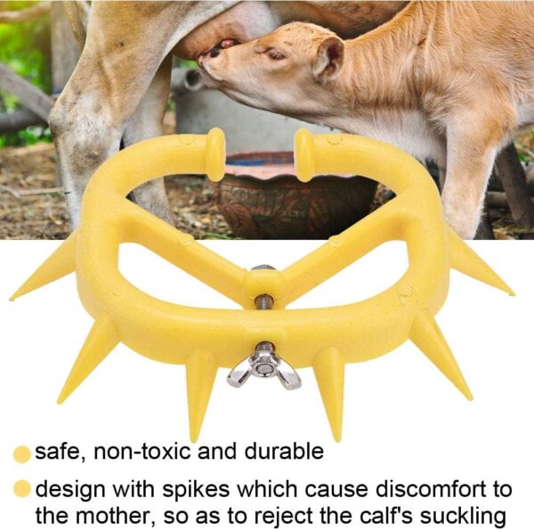 Calf Weaner - 图片 9