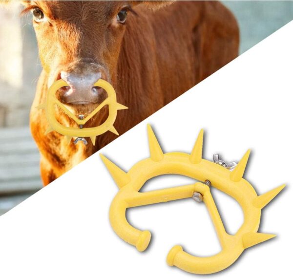 Calf Weaner - 图片 6