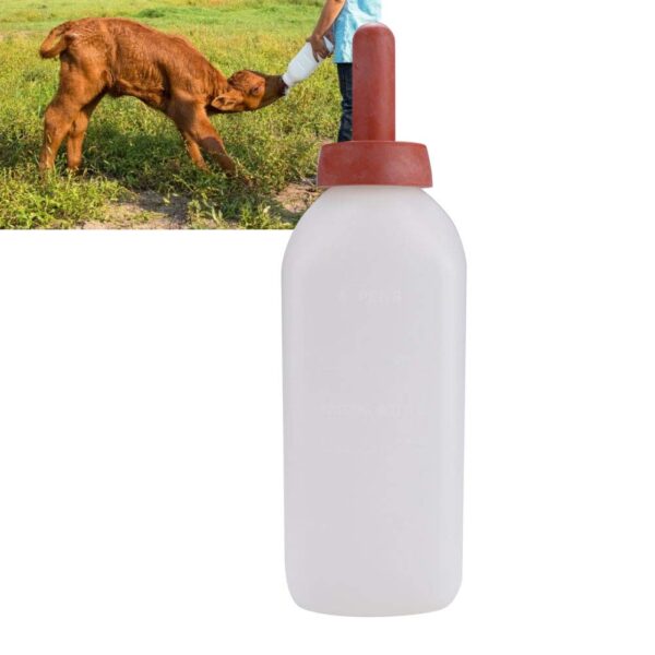 Feeding bottle - 图片 5