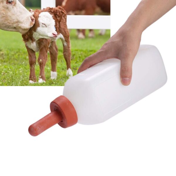 Feeding bottle - 图片 6