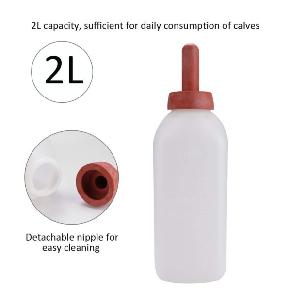 Feeding bottle - 图片 8