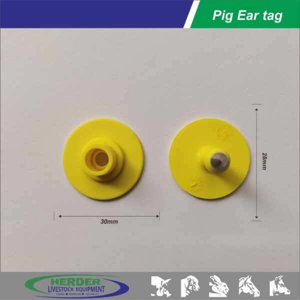 Pig Ear Tags