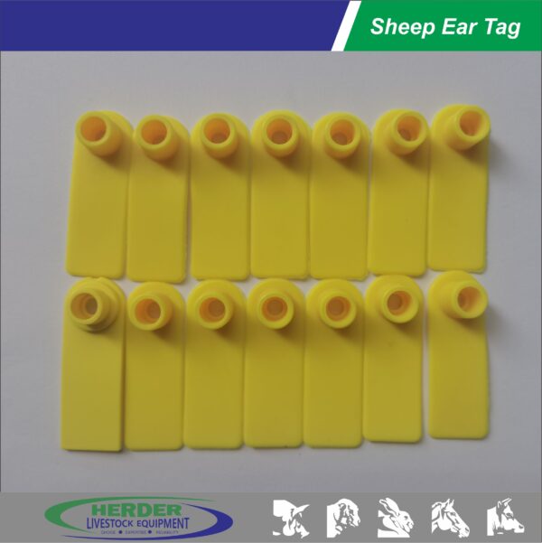 Sheep Ear Tags