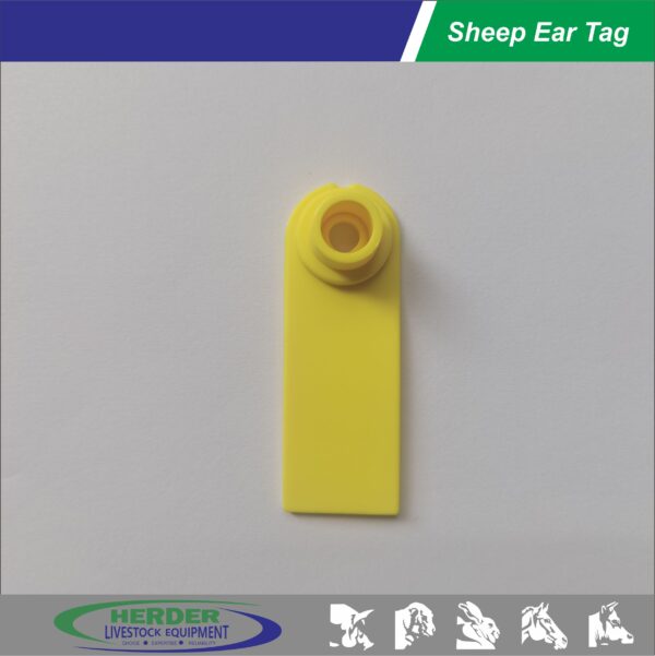 Sheep Ear Tags - 图片 6