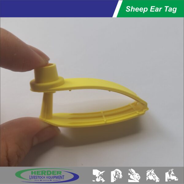 Sheep Ear Tags - 图片 2