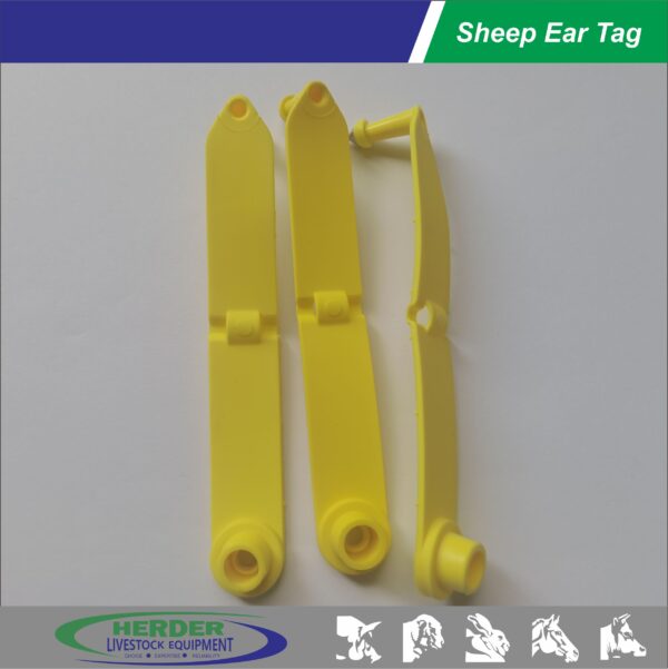 Sheep Ear Tags - 图片 3