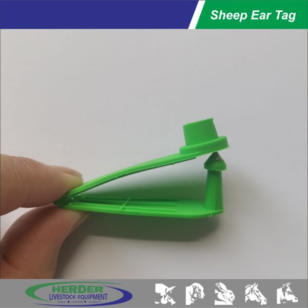 Sheep Ear Tags - 图片 4