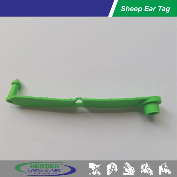 Sheep Ear Tags - 图片 5