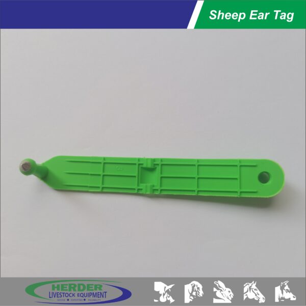 Sheep Ear Tags - 图片 6