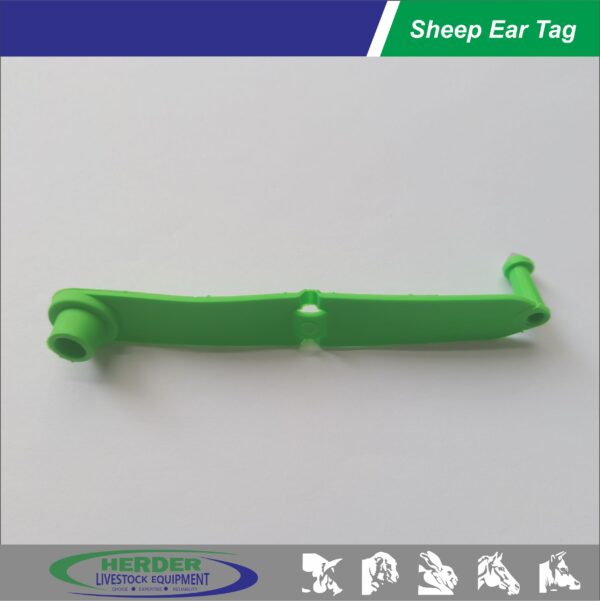 Sheep Ear Tags - 图片 7