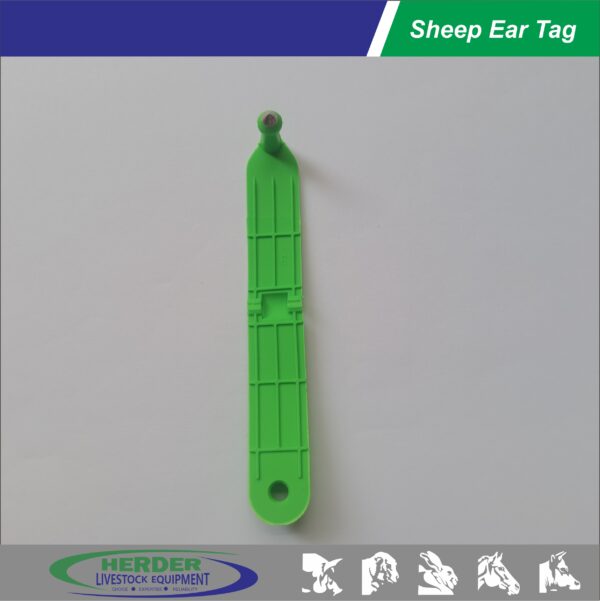 Sheep Ear Tags - 图片 8