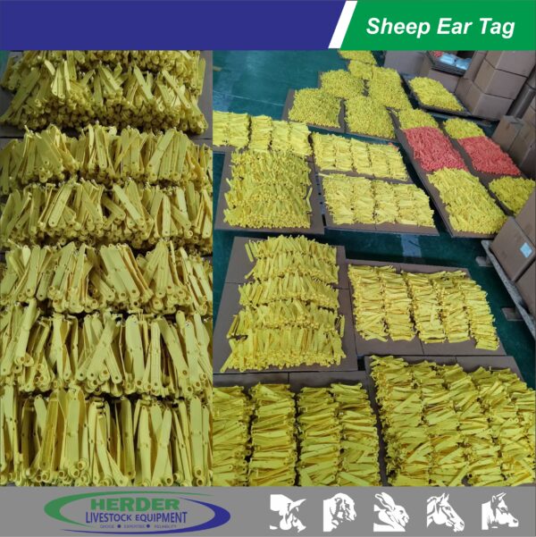 Sheep Ear Tags - 图片 9
