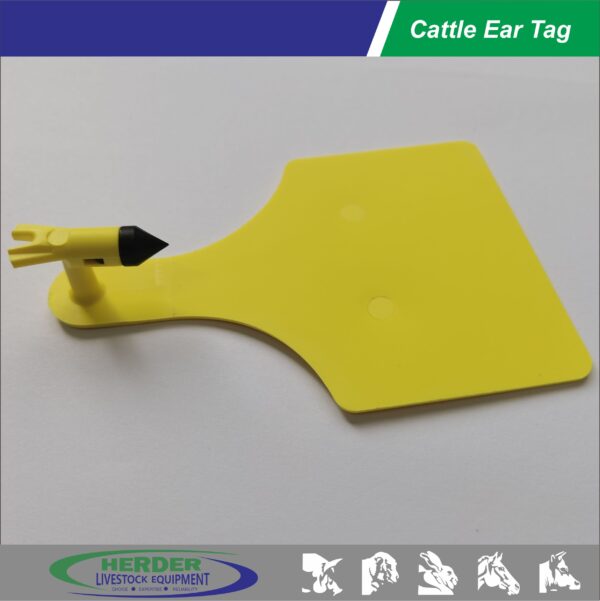 Ear Tags - 图片 5