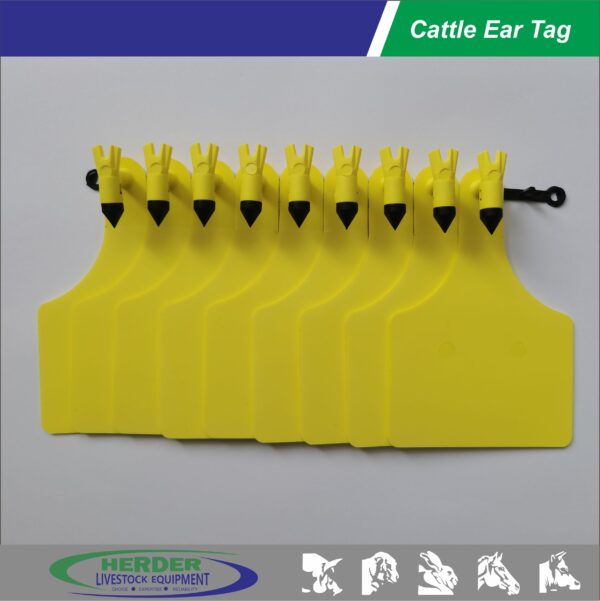 Ear Tags - 图片 7