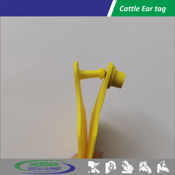 Double Ear Tags - 图片 2